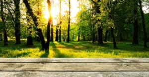 オレンジのG-SHOCKおすすめ5選！人気モデルを紹介