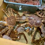 タラバガニの特徴・生態!生息地や大きさ・寿命など