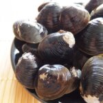 しじみの特徴・生態!種類・生息地や旬についても