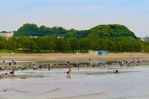 潮干狩りに適した時期とは？服装・道具やコツも解説